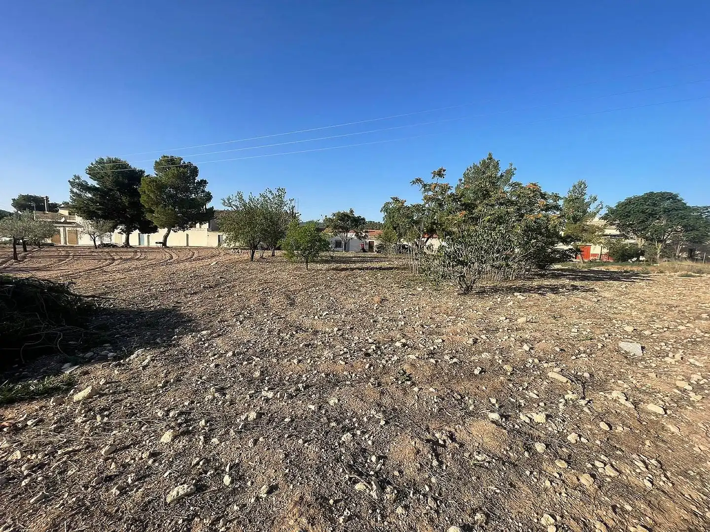 Terreno residencial en venta en El Pinós / Pinoso, imagen 3
