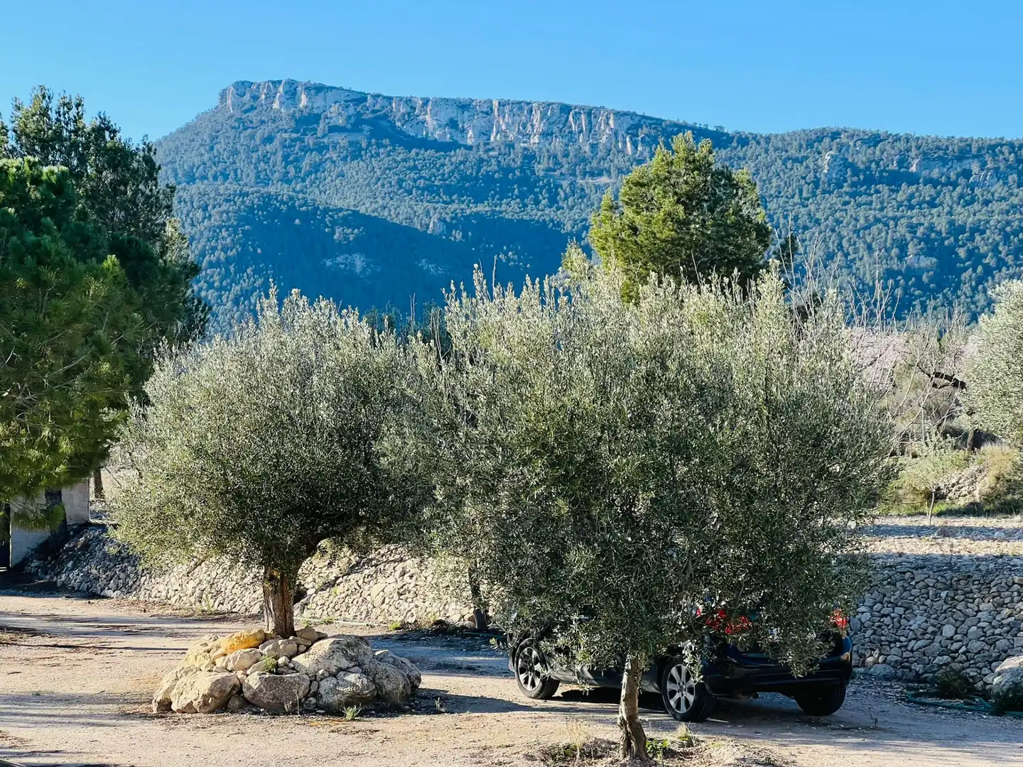 Villa con giardino in vendita a Carrer Cervantes 71, imagen 36