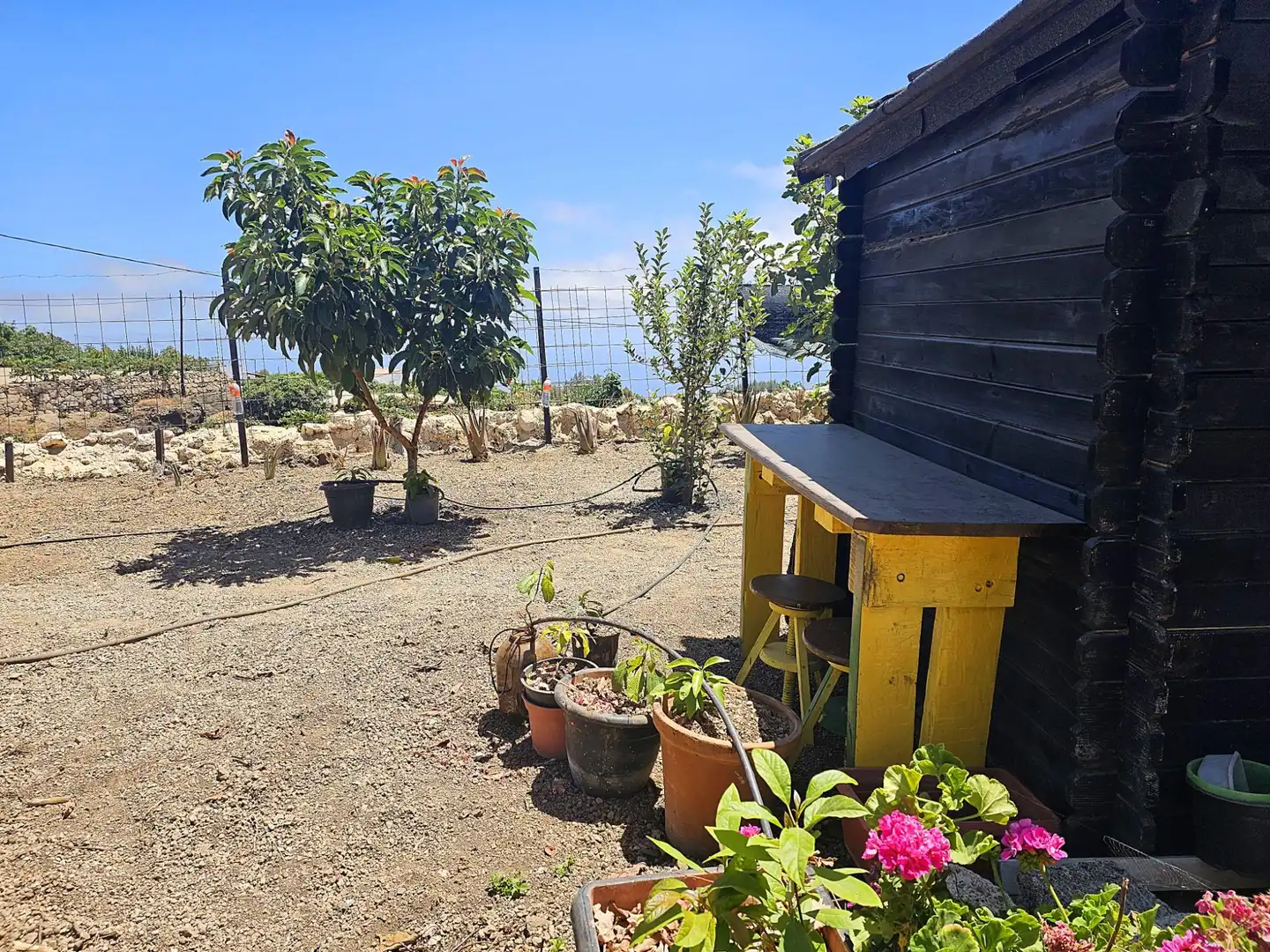 Jardí de Finca rústica en venda en Granadilla de Abona