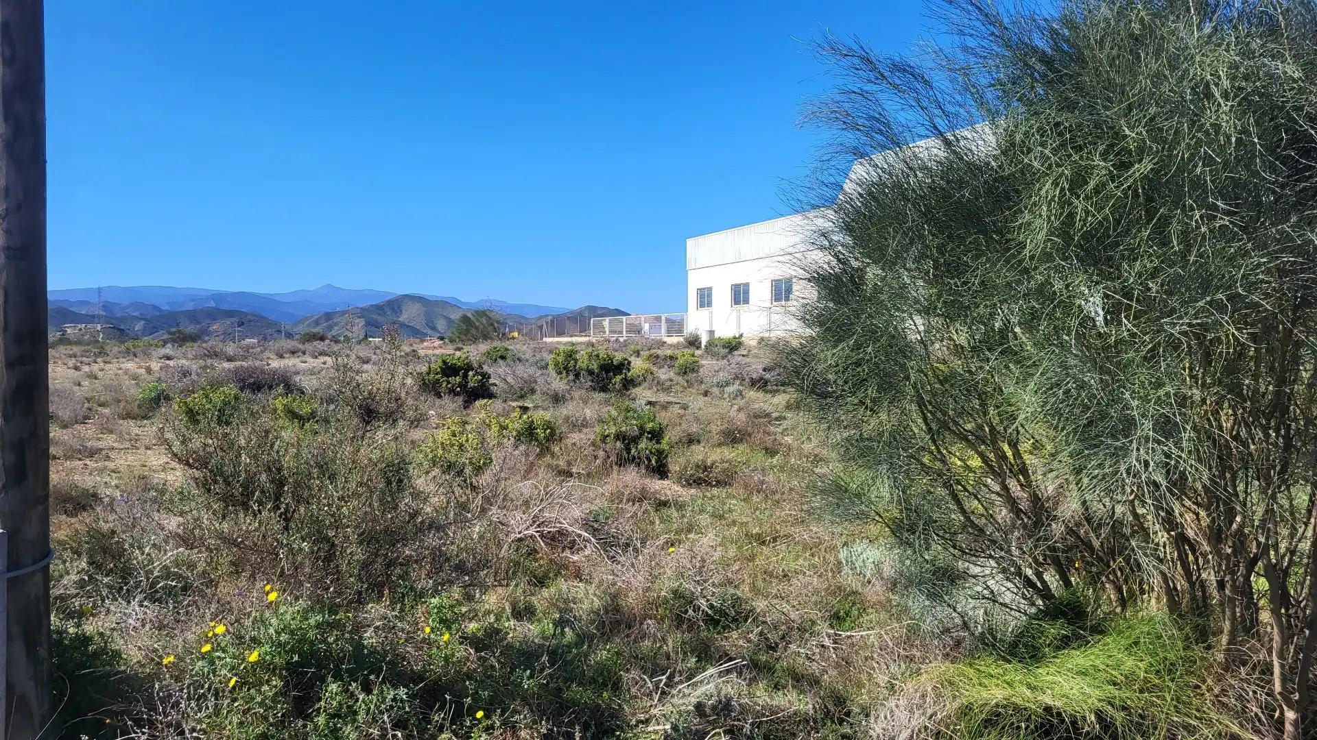 Terrenys i solars en venda a Albox, imagen 3