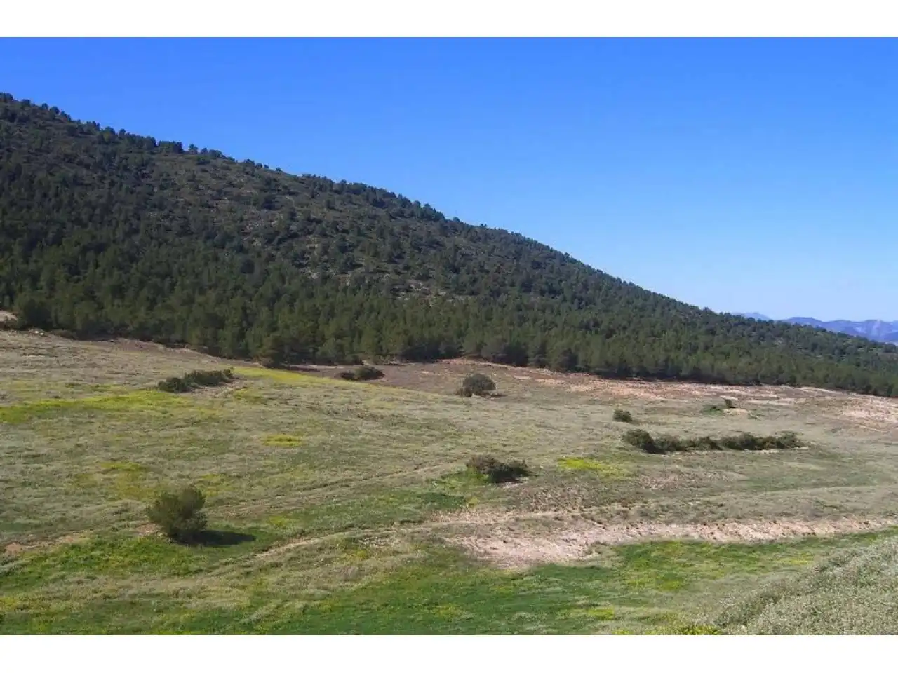 Terrains et parcelles à vendre à Pedanías Norte, imagen 8