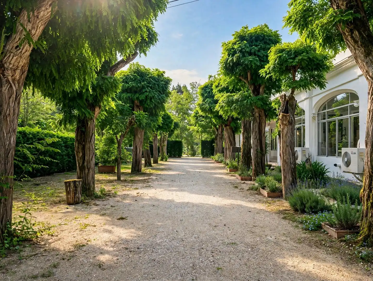 Lands and plots for sale in Arenys de Munt, imagen 3