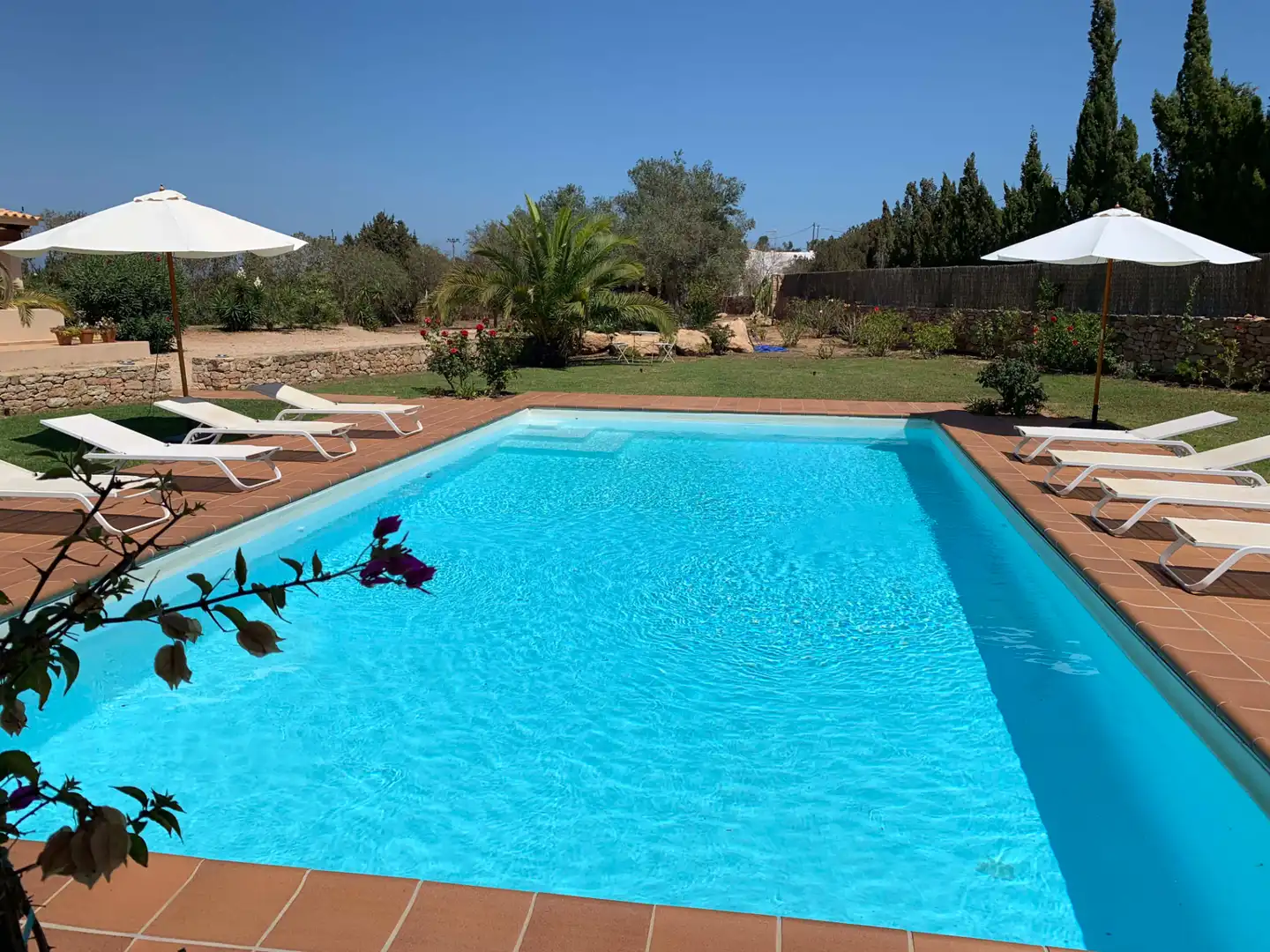 Piscina de Casa o xalet en venda en Formentera amb Aire condicionat, Calefacció i Jardí privat