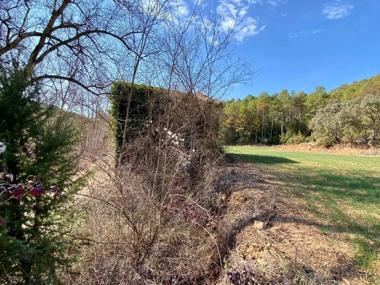 Finca rústica en venta en La Baronia de Rialb con Jardín privado