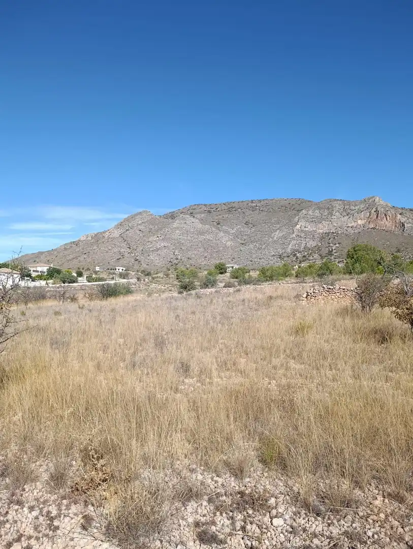Terreno rustico in vendita a Hondón de las Nieves / El Fondó de les Neus, imagen 25