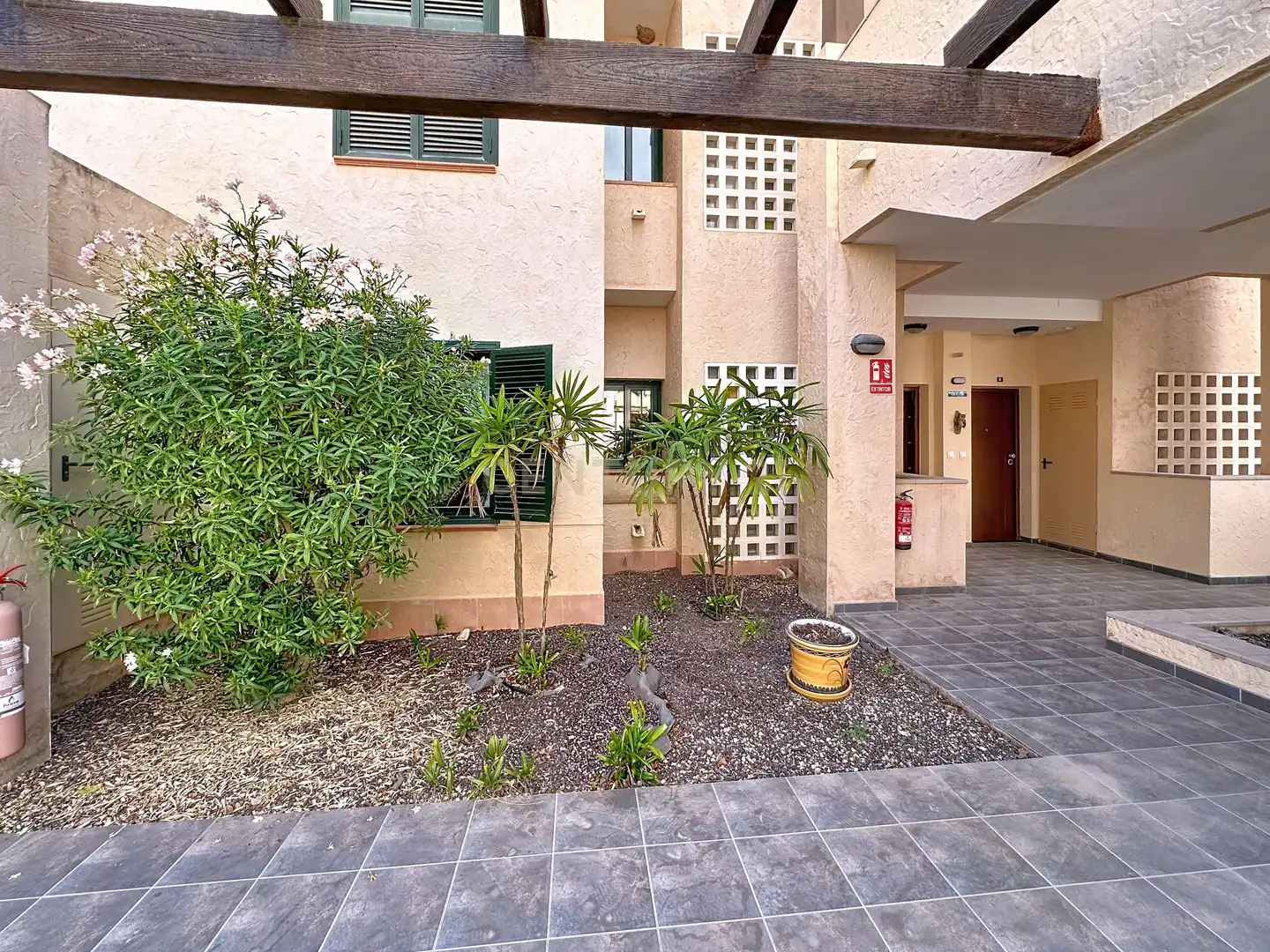 Exterior view of Ground floor for sale in Fuente Álamo de Murcia