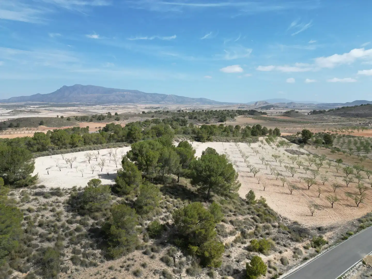 Terreny residencial en venda a Jumilla, imagen 7