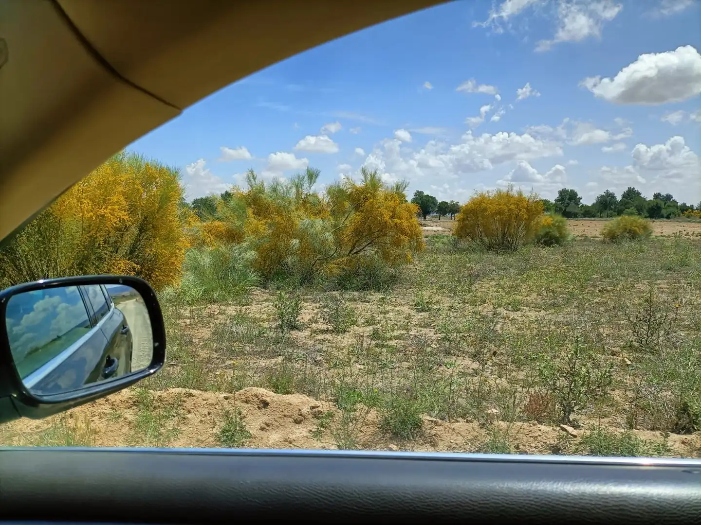Terreni e lotti in vendita a Villaminaya, imagen 3