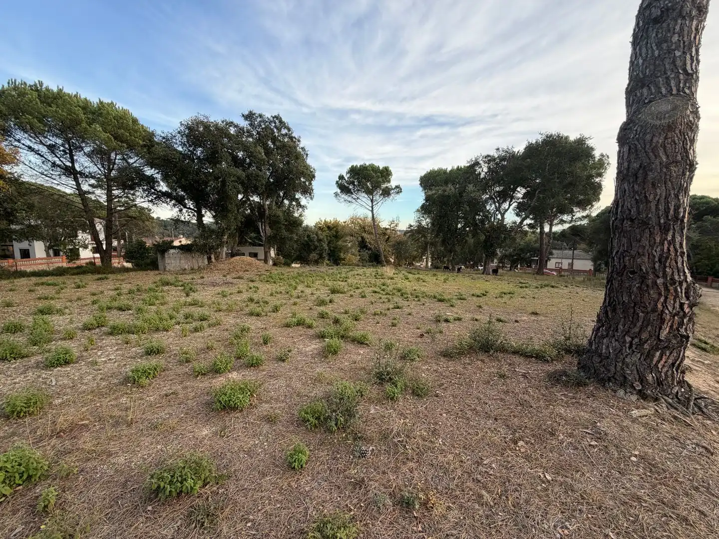 Residencial en venda en Massanes