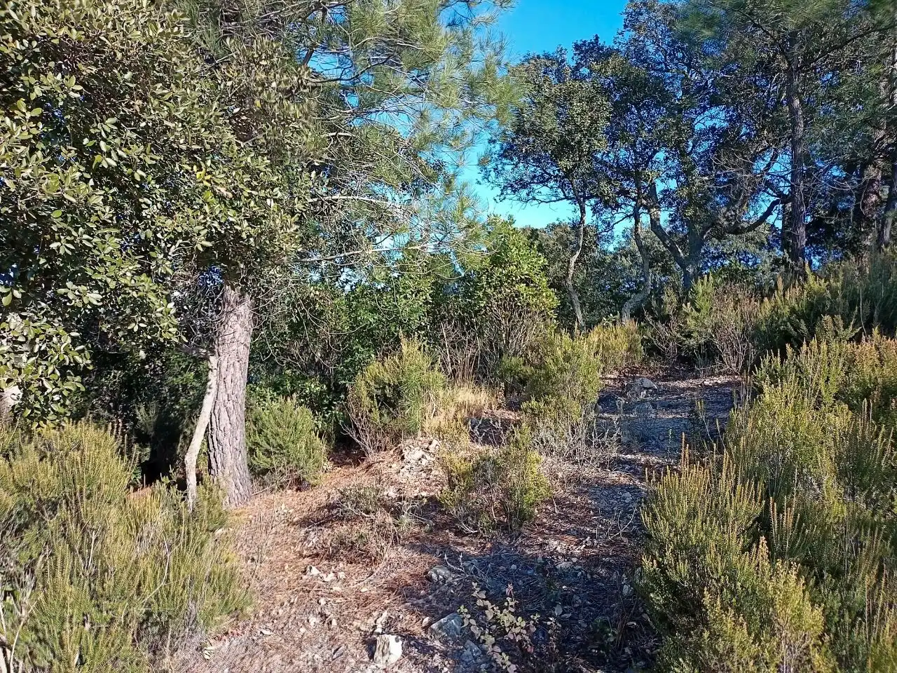 Terreno residencial en venta en Lloret Residencial - Montlloret, imagen 3