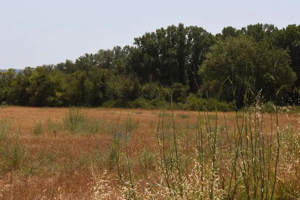 Terreno rústico en venta en Lliçà de Vall