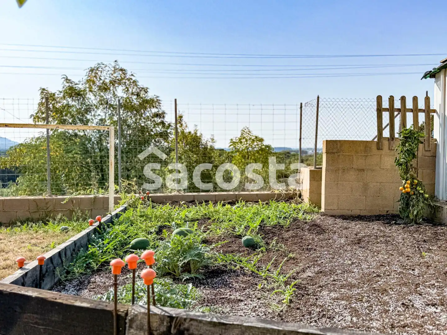 Finca rústica en venda a Mas Mora - Sant Daniel