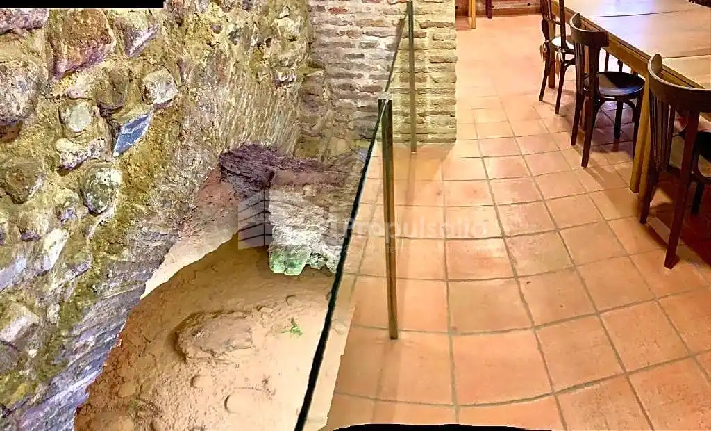 Gewerbefläche zum Verkauf in Judería, imagen 9