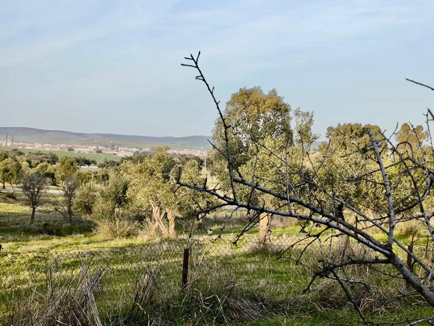 Finca rústica en venta en Peñarroya-Pueblonuevo con Jardín privado, Trastero y Piscina