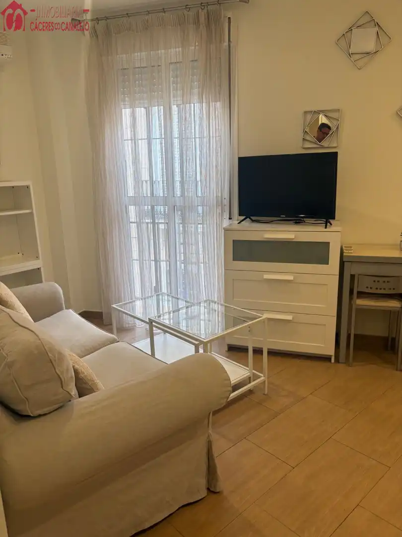 Sala de estar de Casa o chalet de alquiler en Sevilla con Aire acondicionado