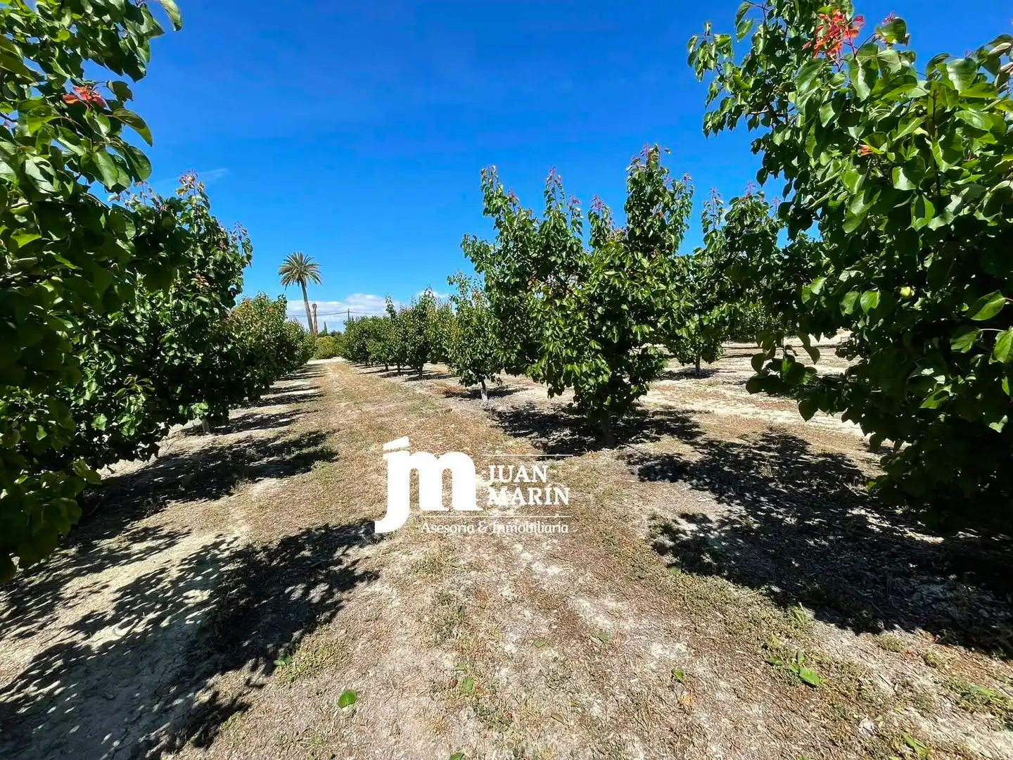 Finca rústica en venta en Cieza con Aire acondicionado, Calefacción y Terraza