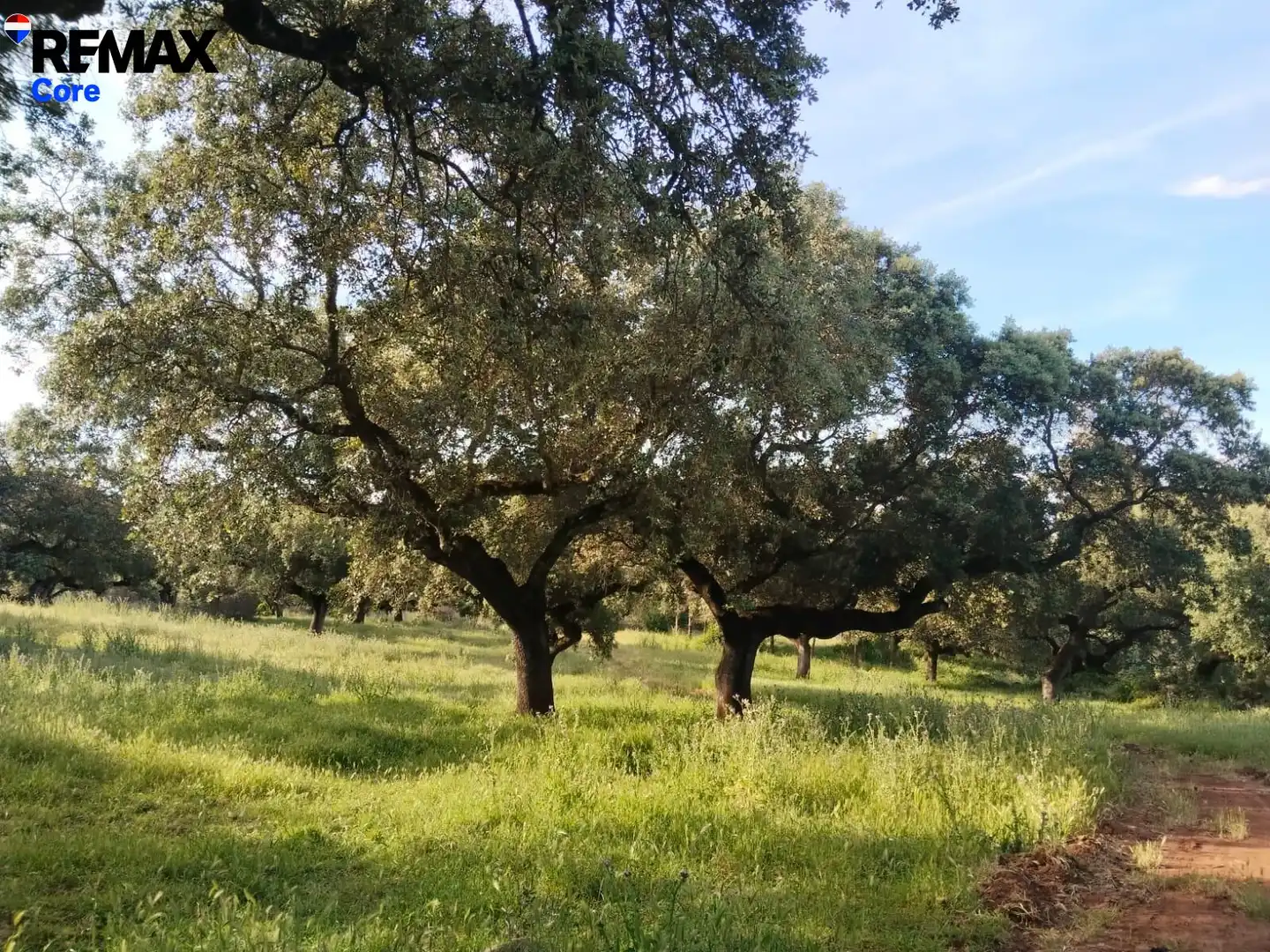 Terreni e lotti in vendita a Jerez de los Caballeros, imagen 16