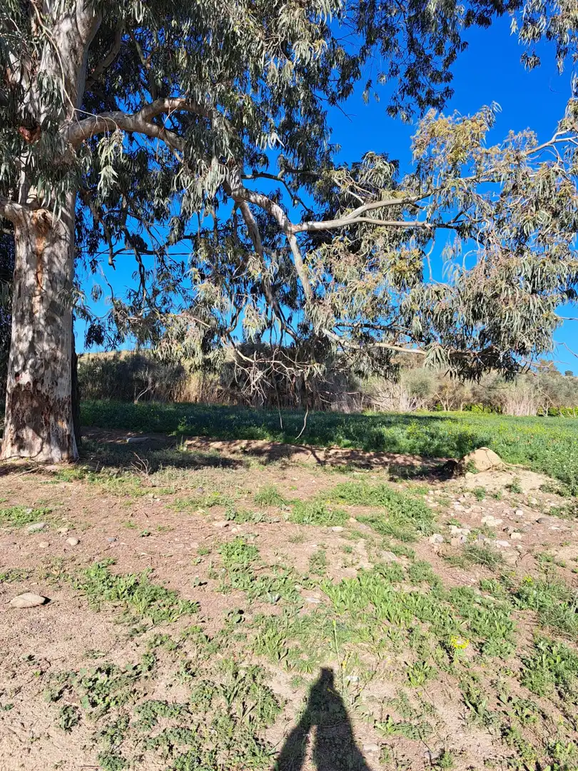 Grundstücke und Bauplätze zum Verkauf in Casalpalma - Fahala, imagen 9