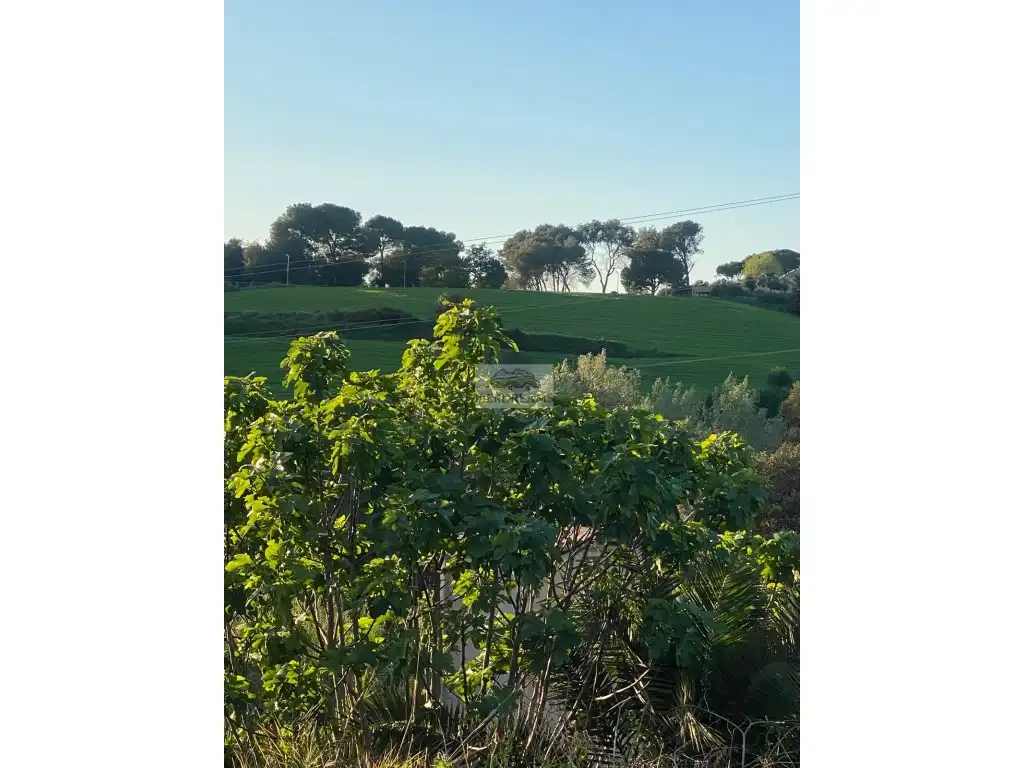 Vista exterior de Casa o chalet en venta en Lliçà de Vall