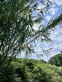 Lands and plots for sale in Santa María de Getxo, imagen 4
