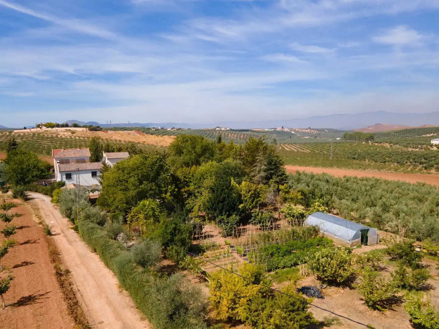 Chalet con piscina en venta en Moraleda de Zafayona, imagen 75