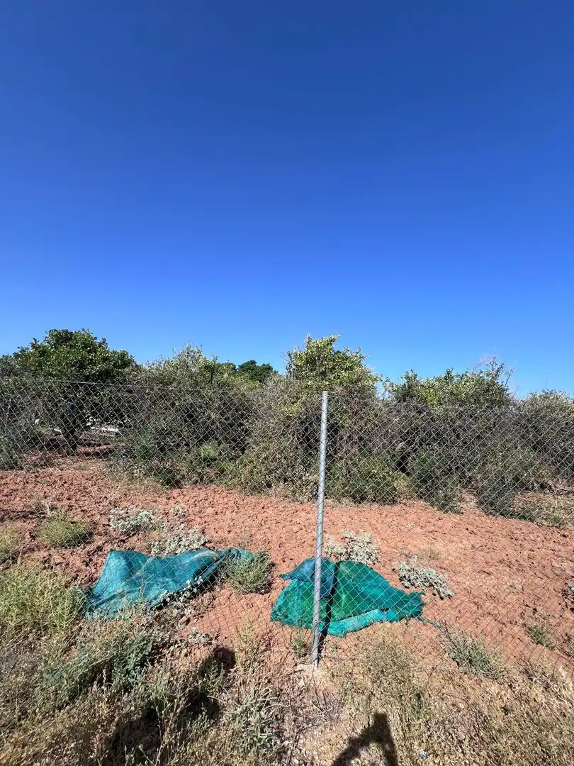 Rural land for sale in Guillena pueblo