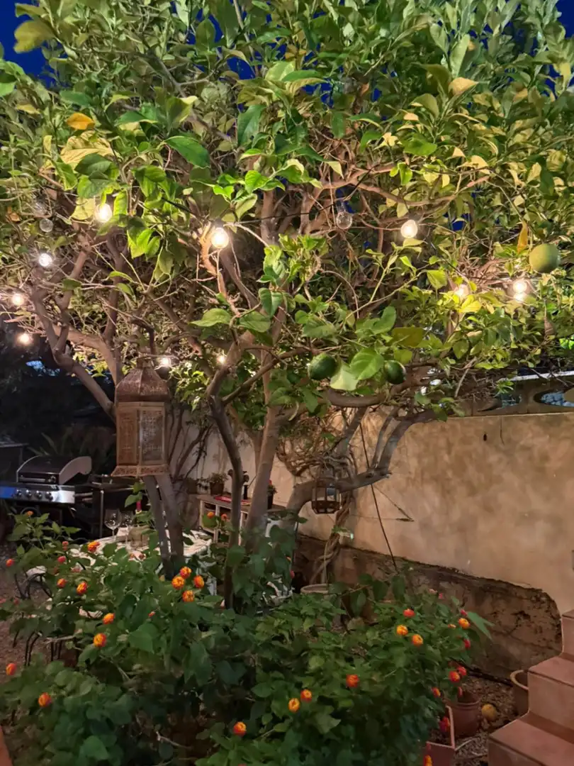 Villa avec piscine à vendre à Orba, imagen 34