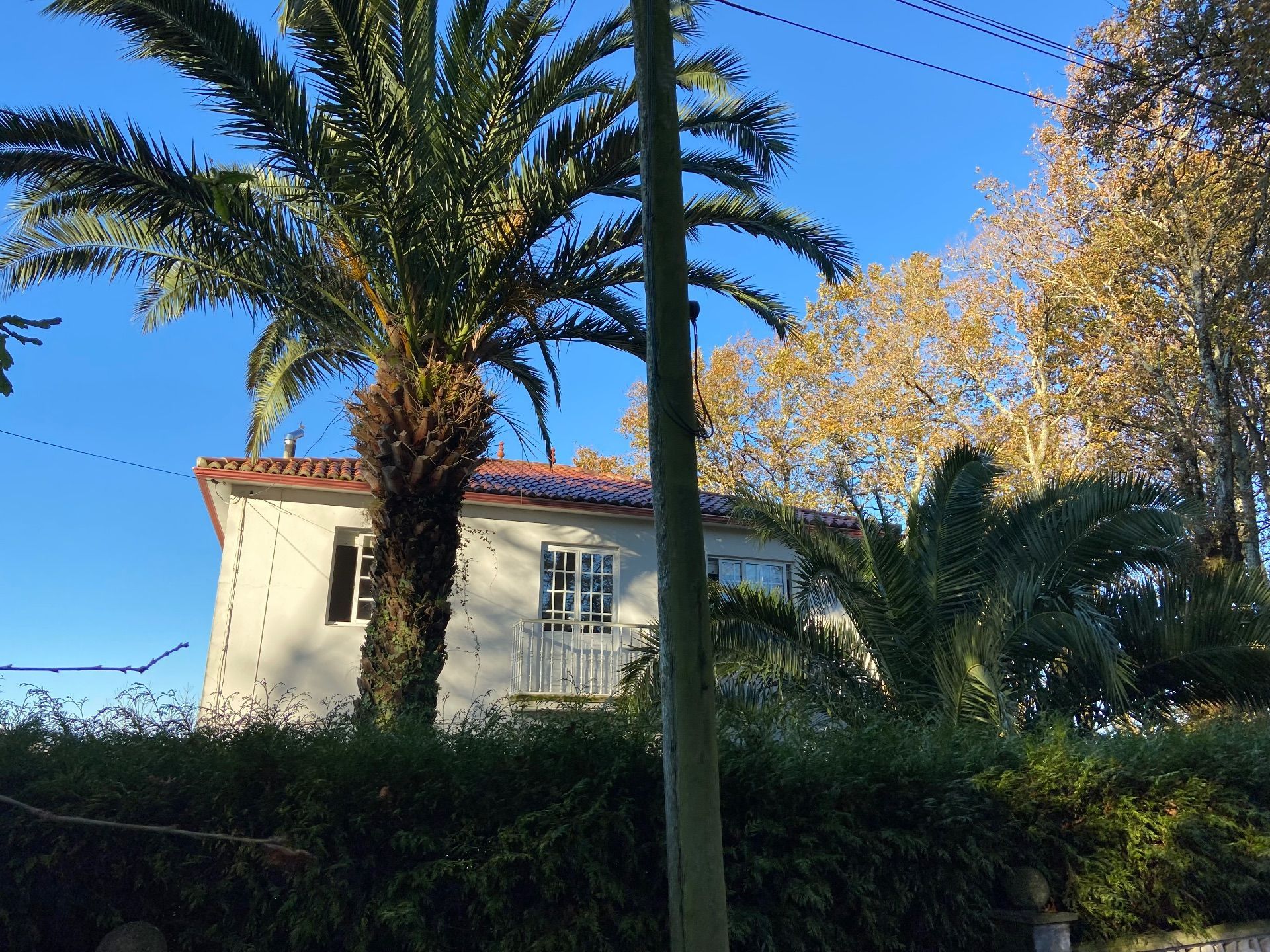 Exterior view of Country house to rent in Lalín