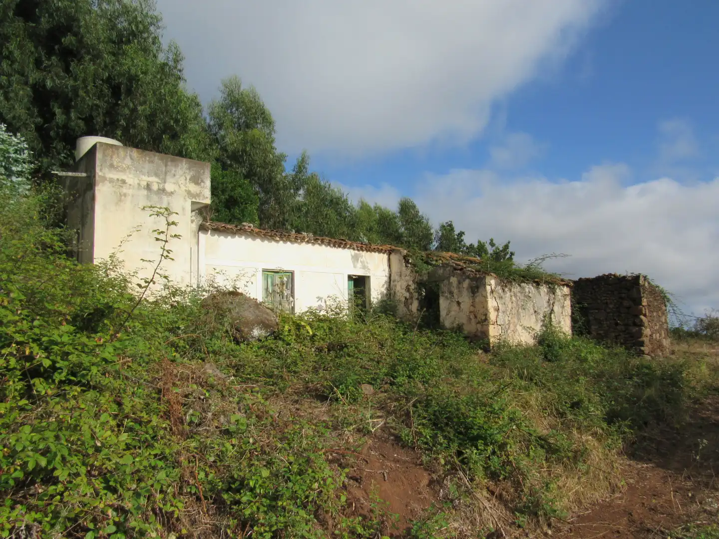 Land for sale in Moya (Las Palmas)