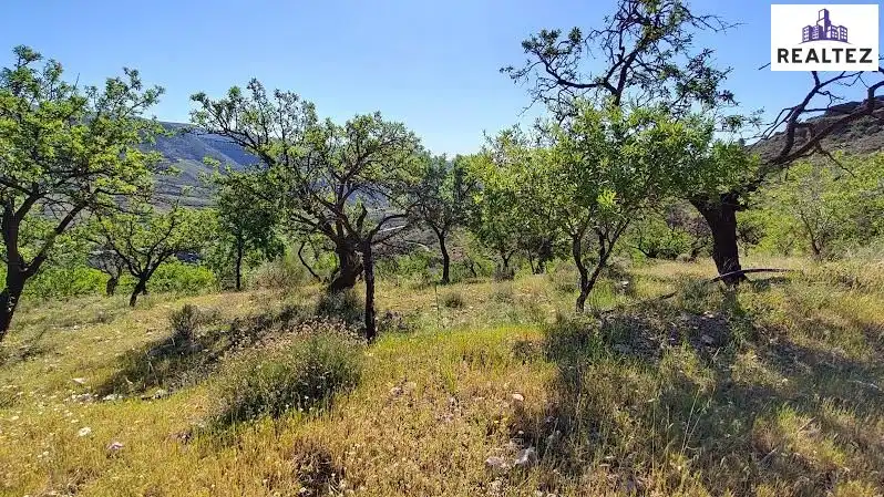 Rural land for sale in Felix, imagen 17