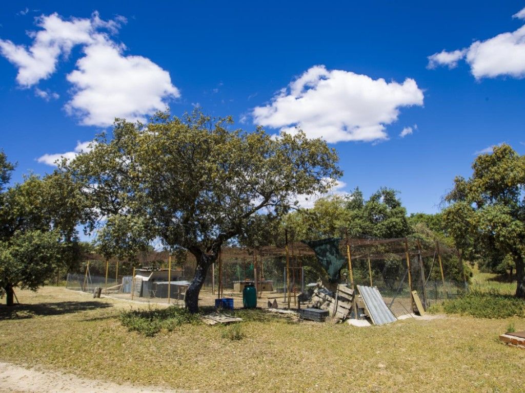 Casa o chalet en venta en La Dehesa - El Pinar