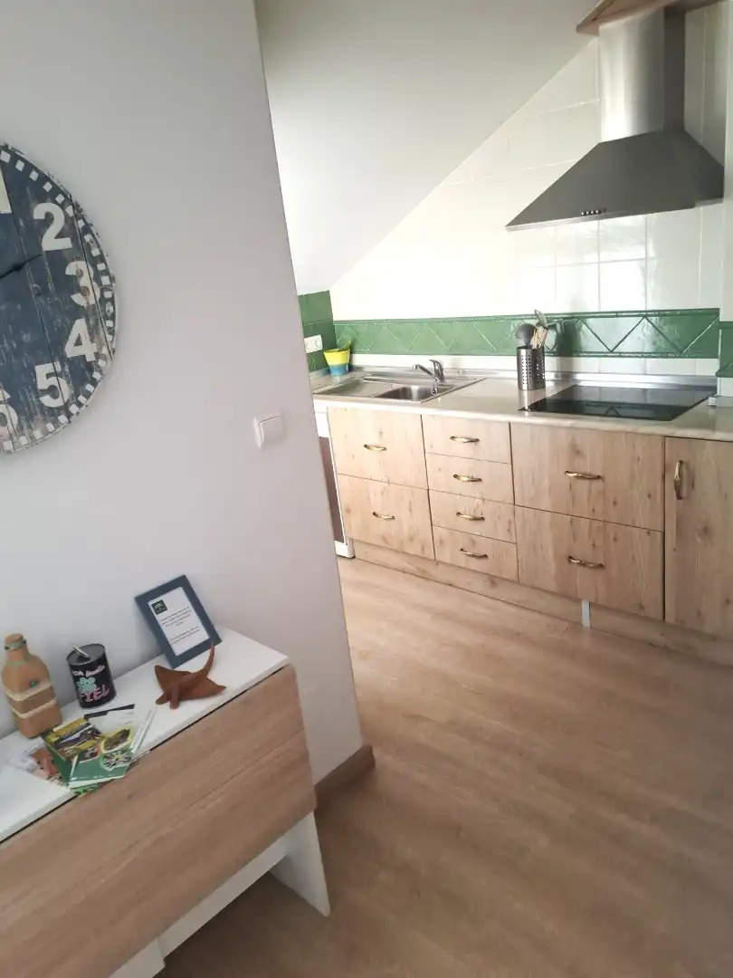Kitchen of Attic for sale in Vélez-Blanco, Almería