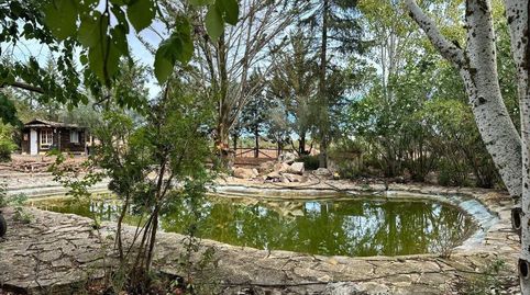 Finca Rúst. en venta en Archidona, 5 dormitorios., imatge 4