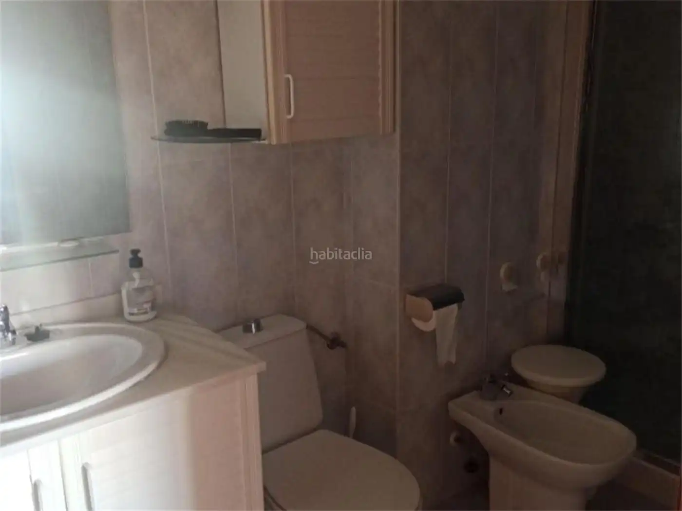 Appartement avec ascenseur à louer à Paseo Reina Sofía 8, imagen 16