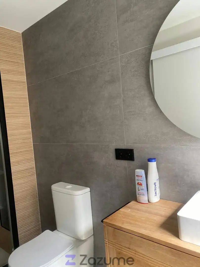 Bathroom of Attic for rent in Madrid  with Heating, Parquet flooring and Terrace