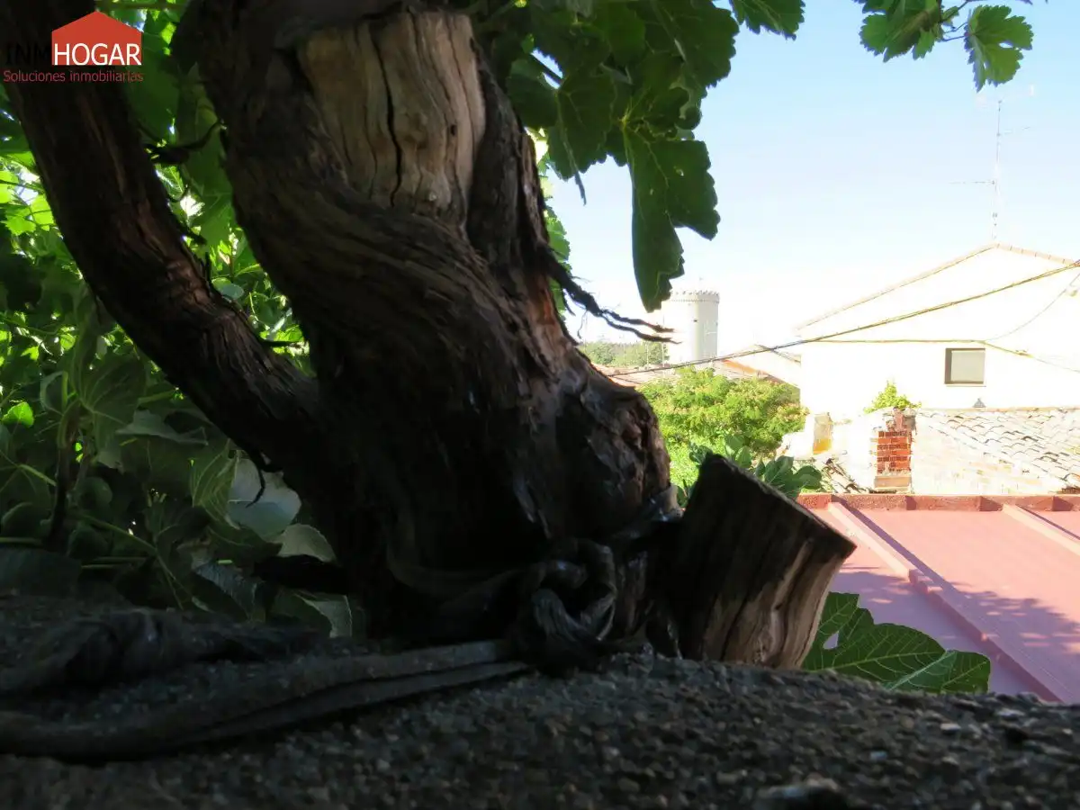 Vista exterior de Finca rústica en venta en Arévalo con Terraza y Trastero