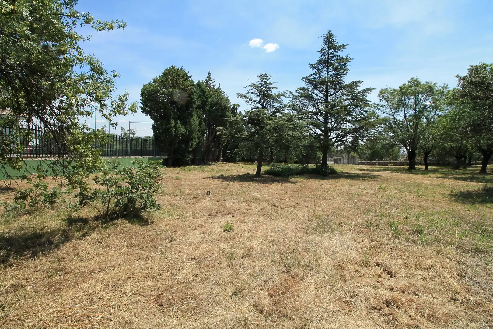 Wohnbaugrundstück zum Verkauf in M-614, imagen 5