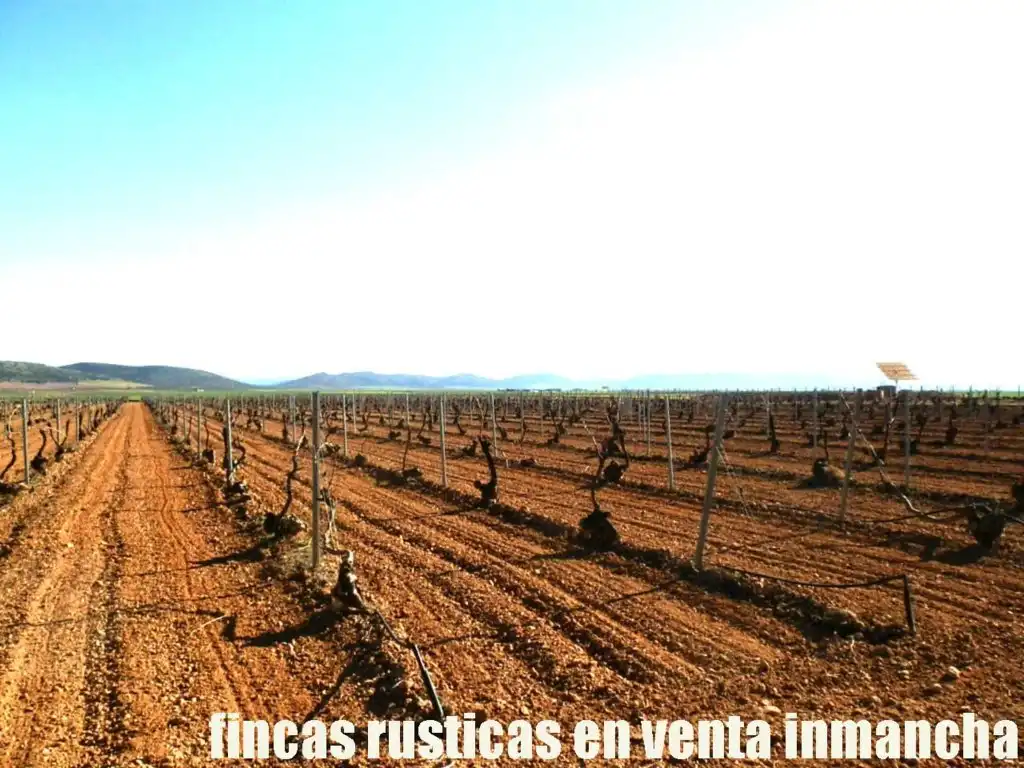 Terreni e lotti in vendita a Madridejos, imagen 8
