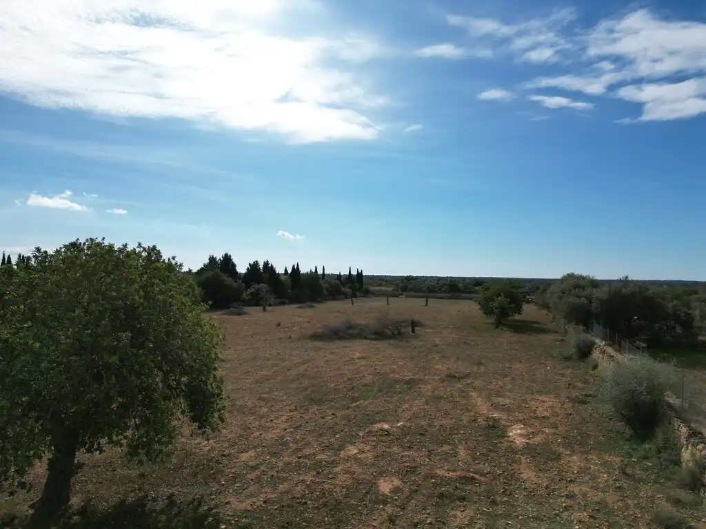 Terreno rustico in vendita a Llucmajor pueblo, imagen 4