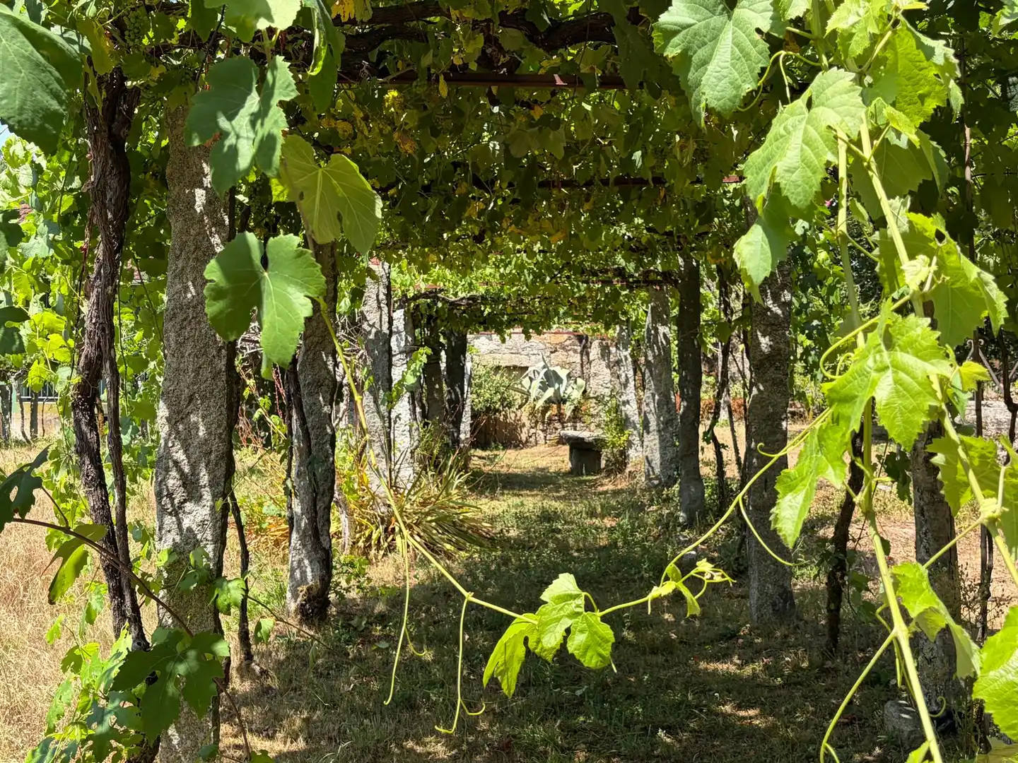 Jardí de Casa o xalet en venda en Salvaterra de Miño amb Jardí privat i Parquet