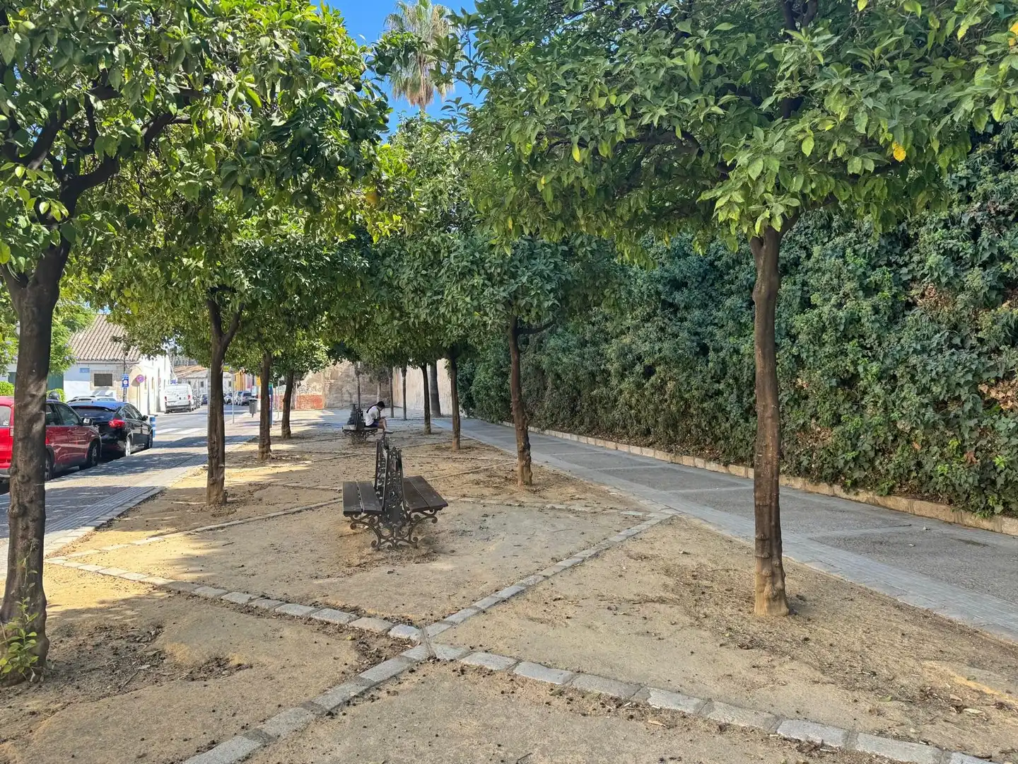 Business premises for sale in Centro, imagen 5