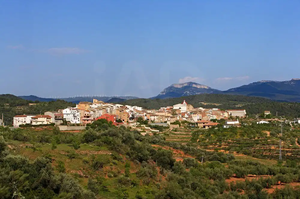Lands and plots for sale in Els Guiamets, imagen 16