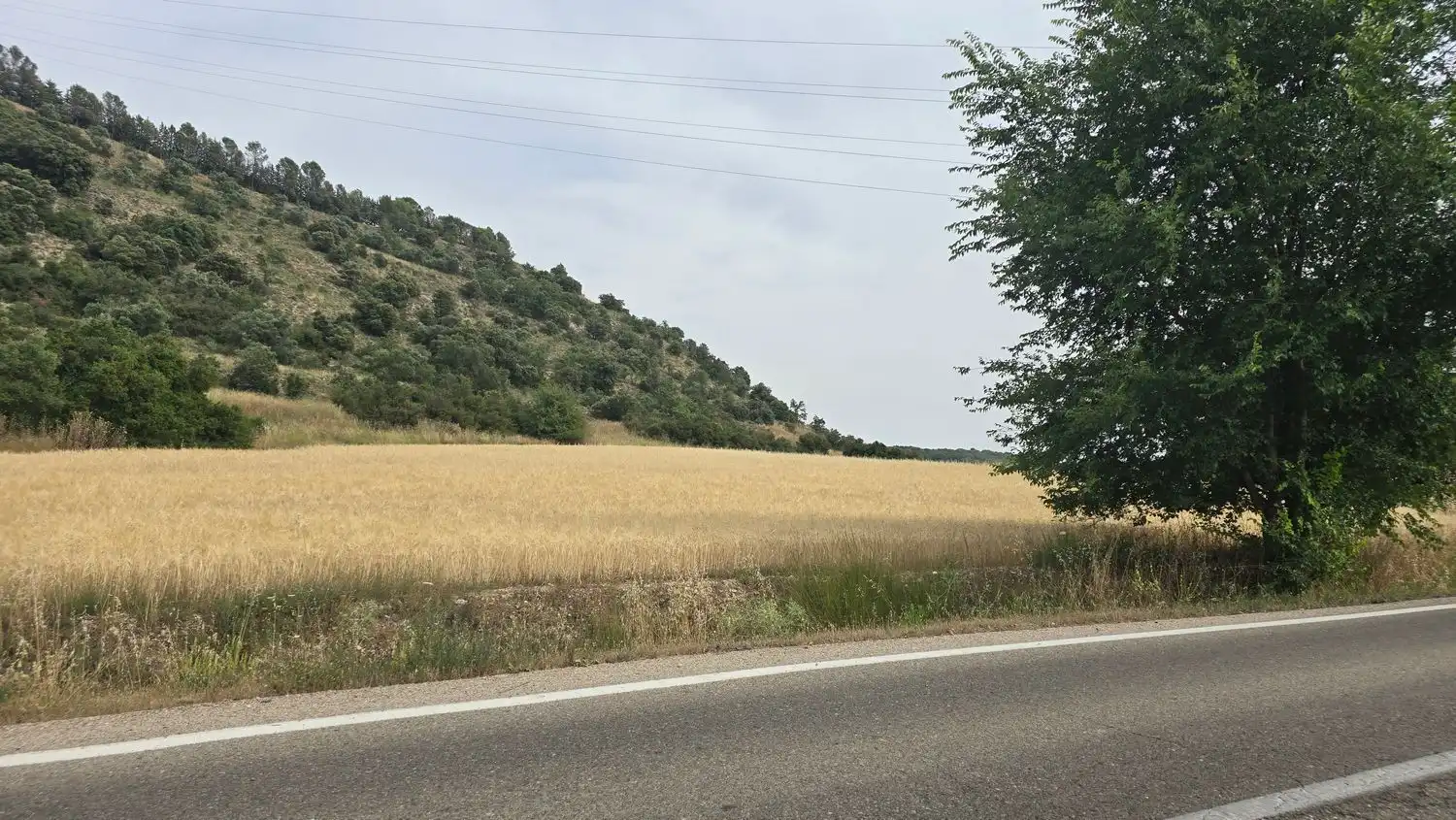 Terreno en venta en M-219, 175, Olmeda de las Fuentes