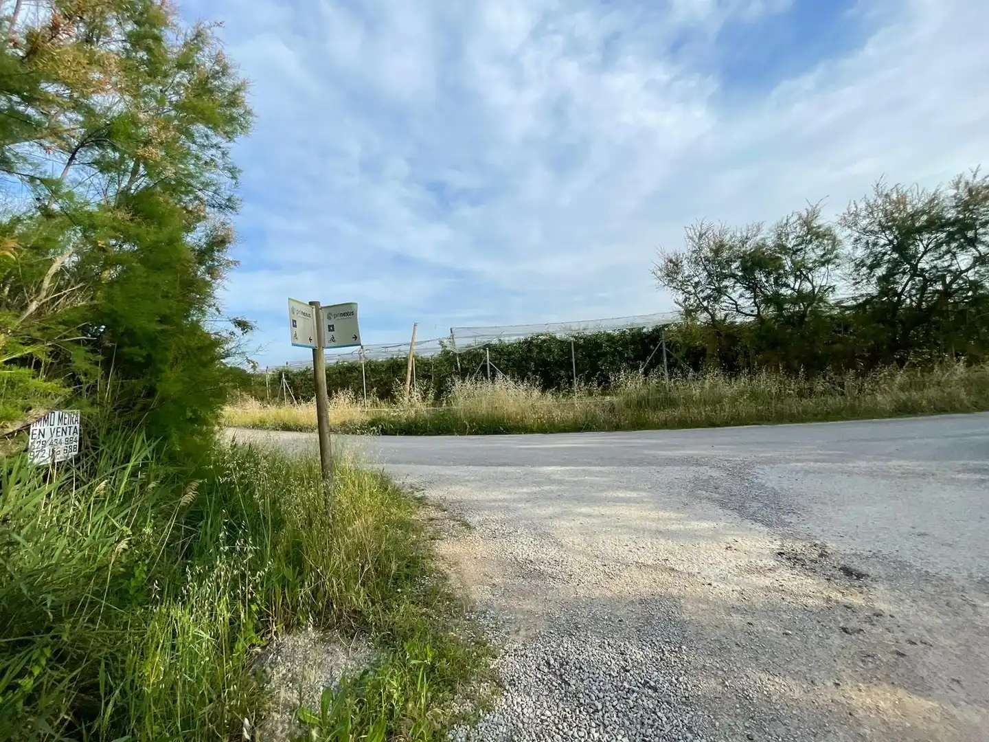 Rural land for sale in Sant Pere Pescador, imagen 26
