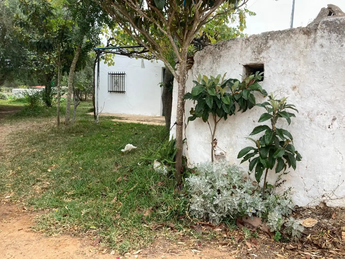 Casa rústica amb jardí en venda a Vejer, imagen 18