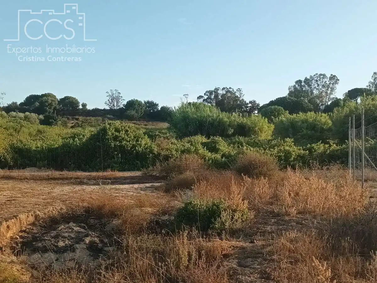 Finca rústica en venda en Bollullos Par del Condado amb Jardí privat i Moblat