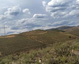 Land for sale in Calatayud
