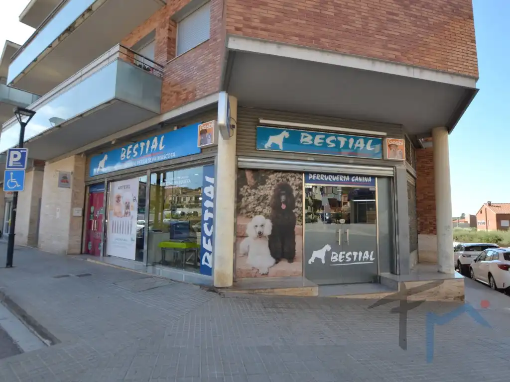 Business premises to rent in Avenida Catalunya, imagen 3