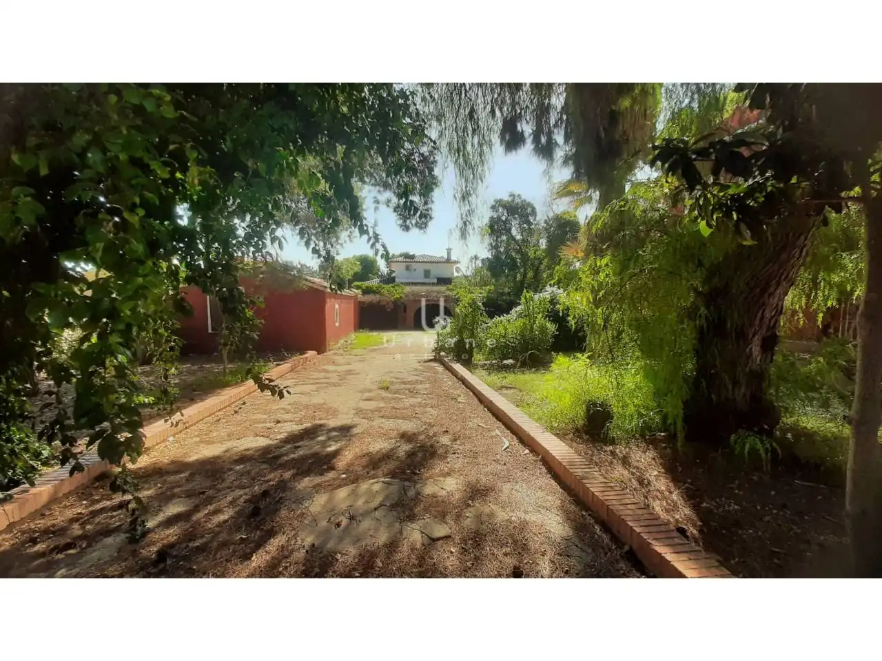 Detached house with pool for sale in Calle Rigel, imagen 3