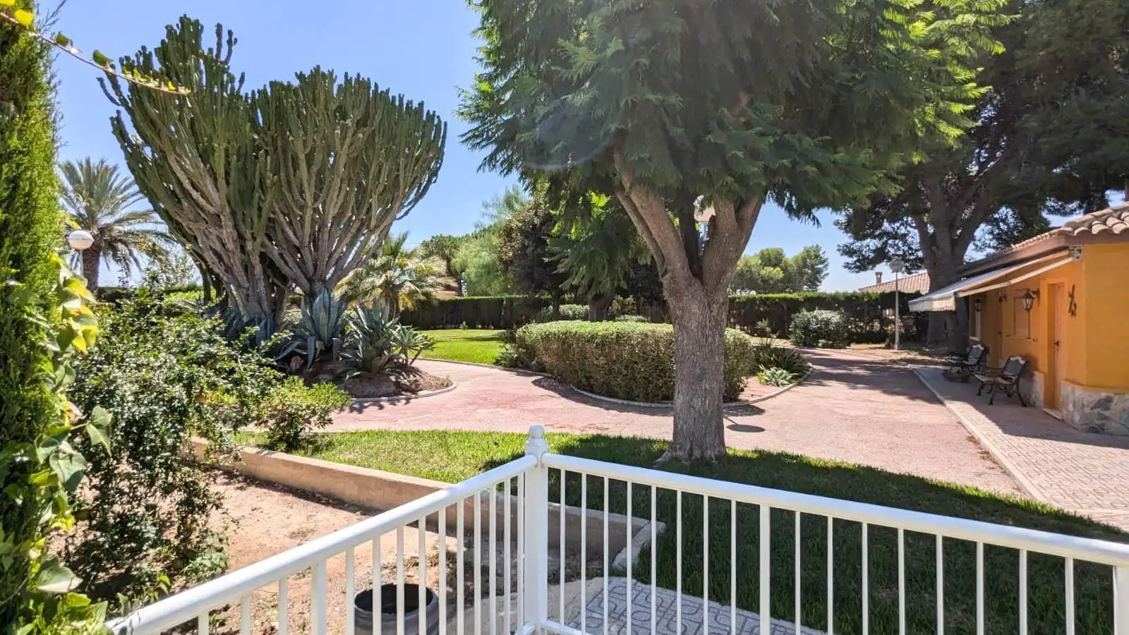 Jardí de Casa o xalet en venda en Elche / Elx amb Terrassa, Traster i Piscina